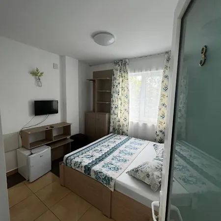 Gazde/Camere de închiriat Camere de inchiriat Andra